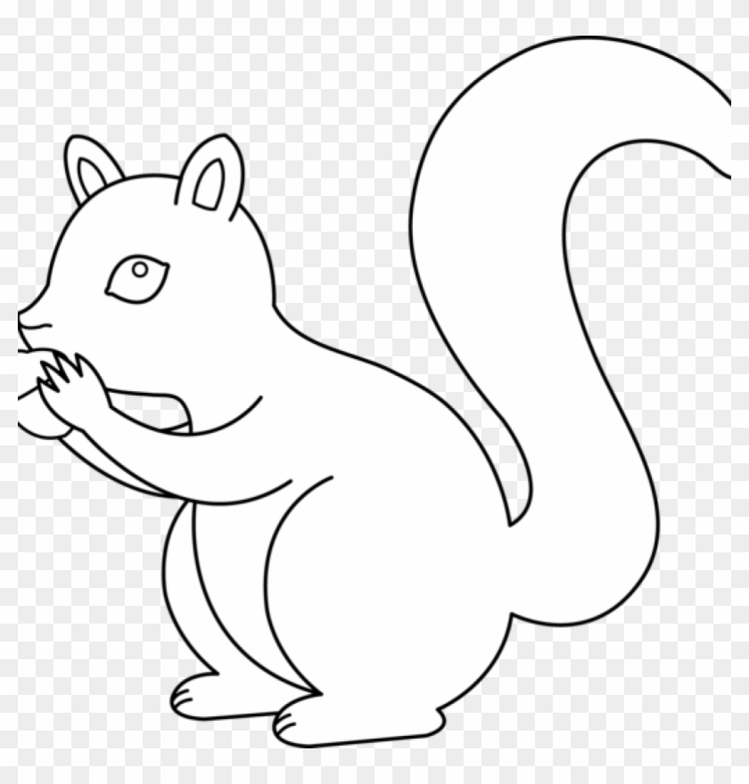 Squirrel Clipart Black And White Free Images Clipartix - Clip Art #827546