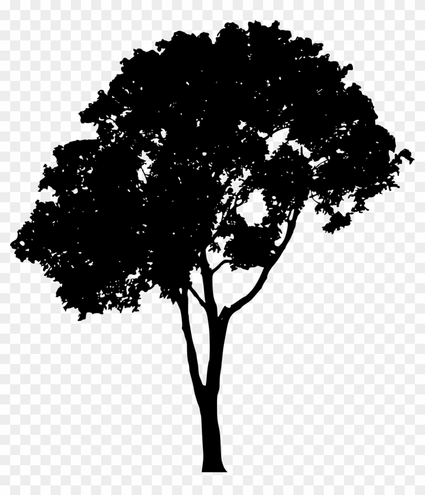 Tree Vector Png - Portable Network Graphics #827554