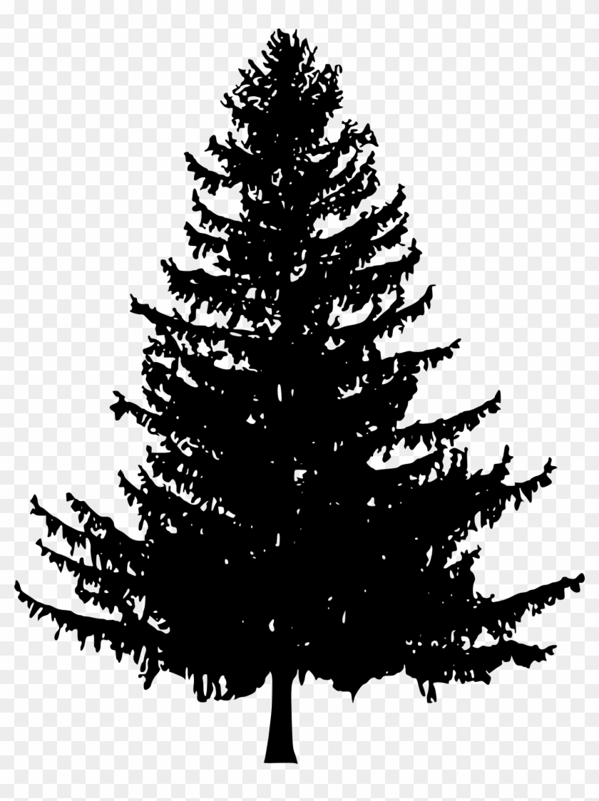 White Pine Tree Drawing At Getdrawings - Pine Tree Silhouette Png #827556