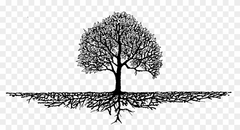 Roots Clipart Rooted Tree - Tree With Roots Graphic #827560