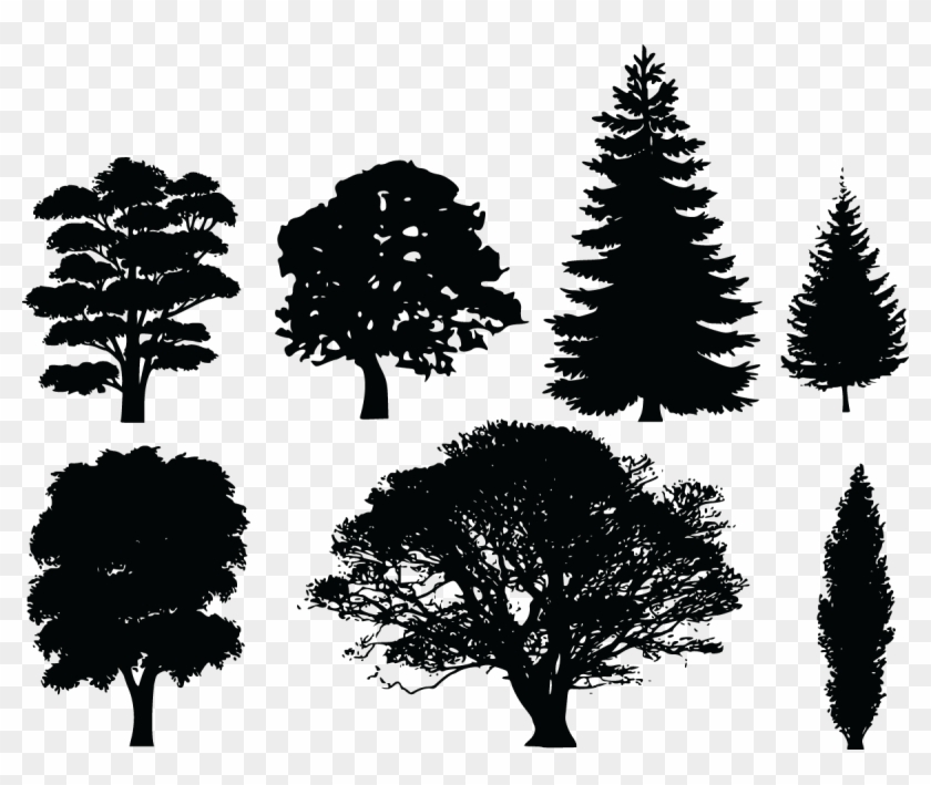 Free Clipart Of 7 Tree Silhouettes - Draw Tree Silhouette #827592
