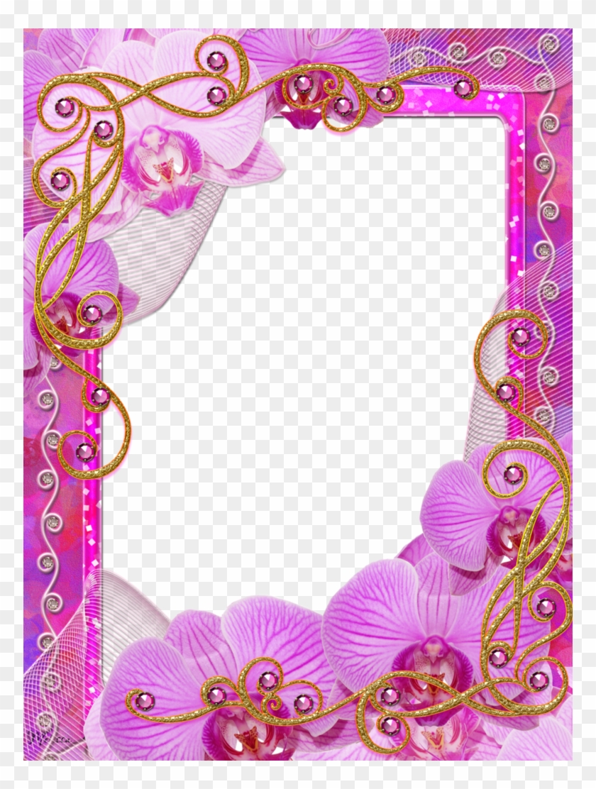 Frame Charm Of Orchids Png By Melissa-tm On Deviantart - Photography #827600