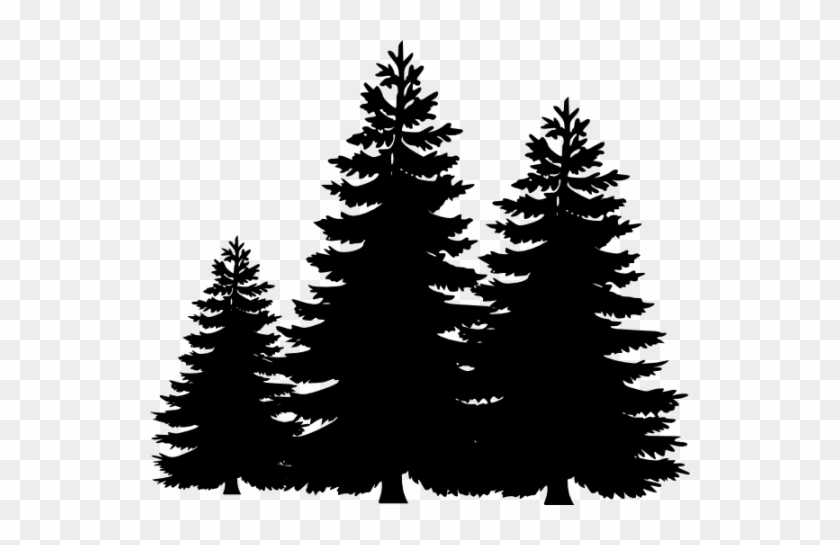 Evergreen Tree Clipart - Black And White Pine Trees #827650