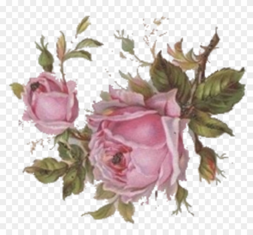 Click On Image To Enlarge, Then Right Click And Save - East Urban Home 'vintage Rose' Print On Metal, Pink #827685