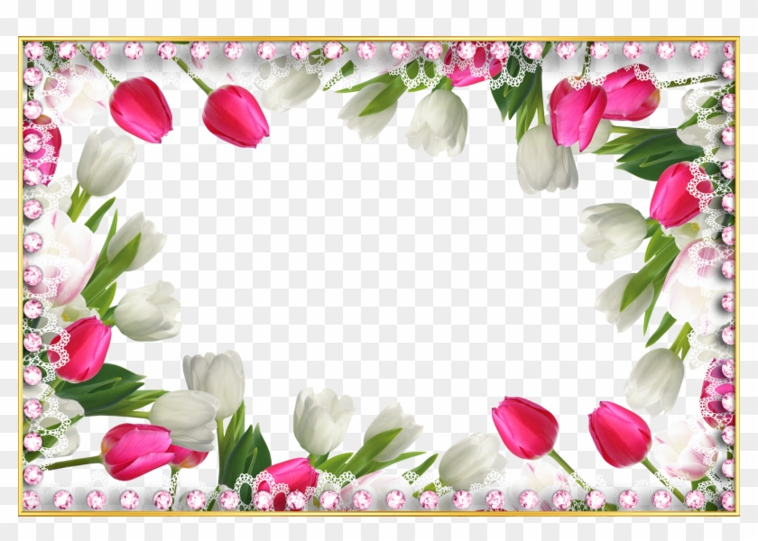 Seven - Beautiful Transparent Frame With Tulips #827687