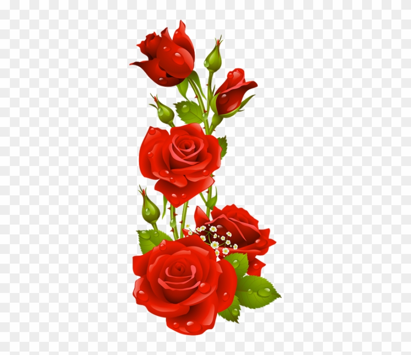 Google Feliz Ano Novo Www - Frame Red Flowers Png #827697