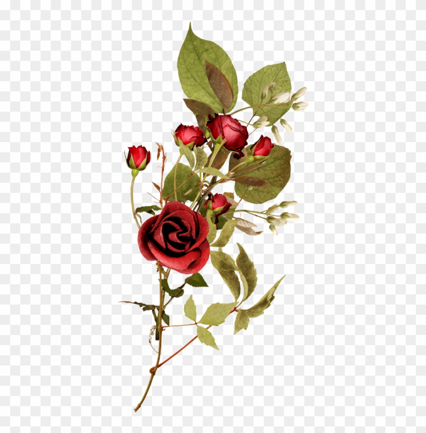 Flower Garden Roses Clip Art - Спасибо Большое Моя Дорогая #827989