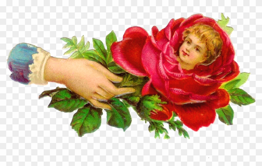 Harrington - Hand With Rose Png #828018