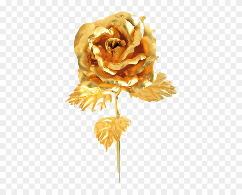 Gold Rose - Golden Rose Png #828036