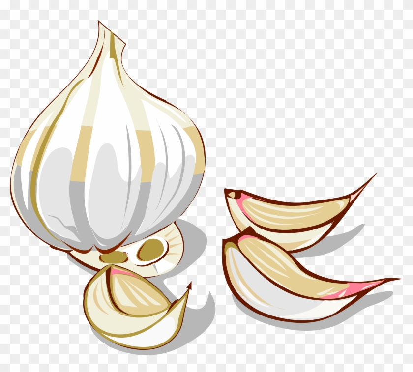 Big Image - Garlic Clip Art #828125