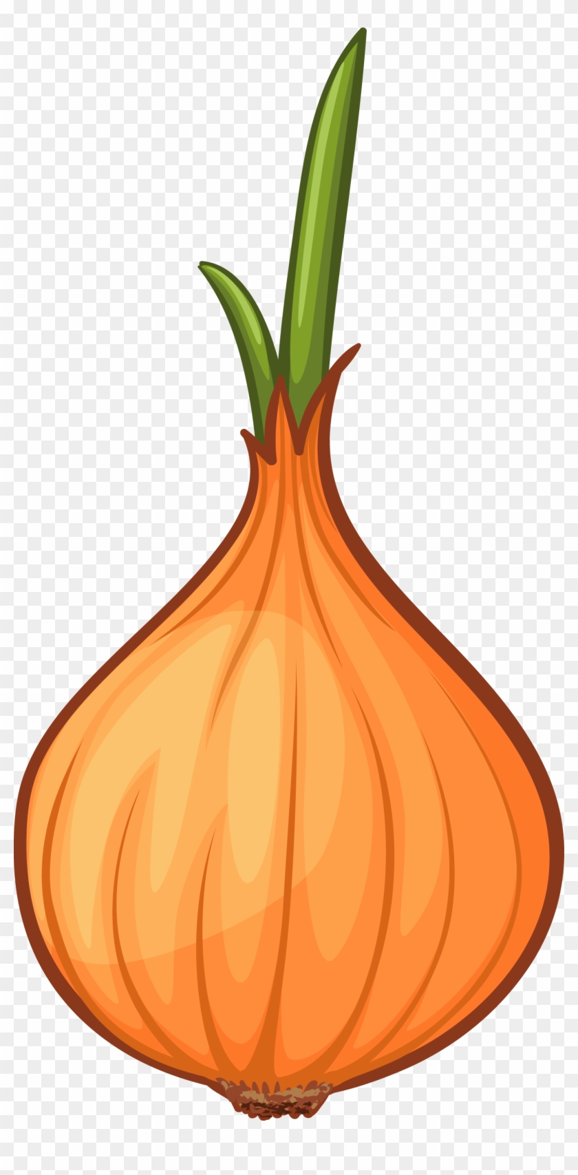 Calabaza Onion Cartoon Clip Art - Onion #828132