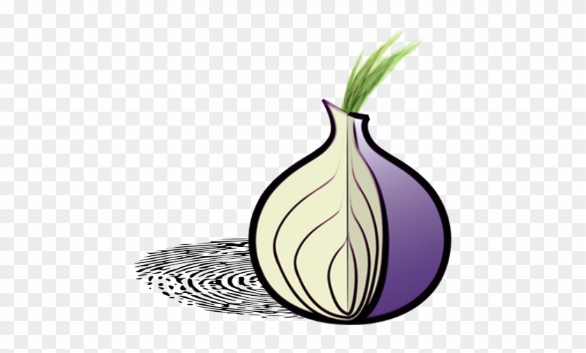 Tor Onion #828293