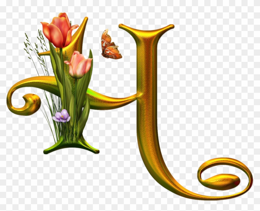 Bello Alfabeto Con Flores Y Mariposas - Alphabet #828575