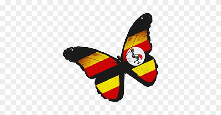 Butterfly With Ugandan Flag Colours - Ugandan Colours #828808