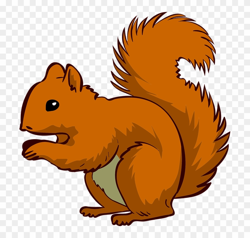 Red Squirrel Clipart Graphic - Squirrel Clipart #829043