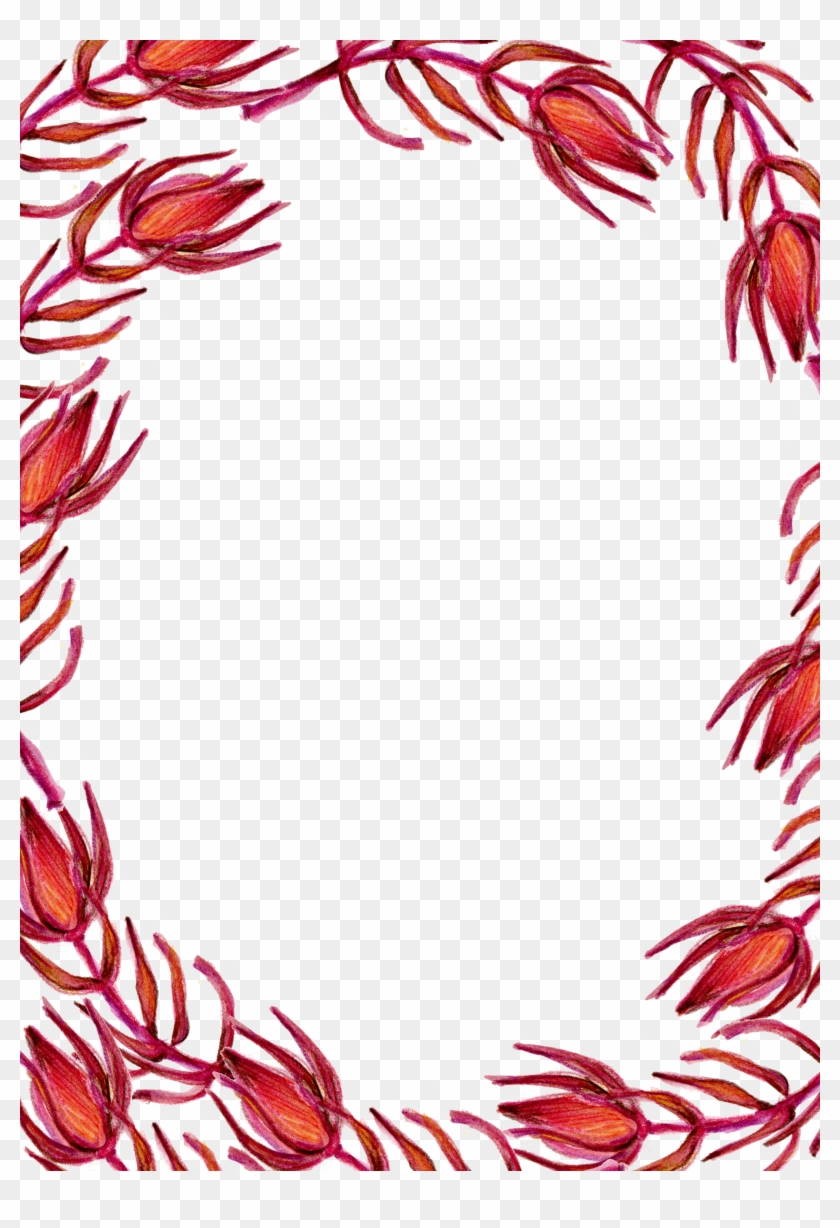 Red Flower Clip Art - Red Floral Border Design #829091
