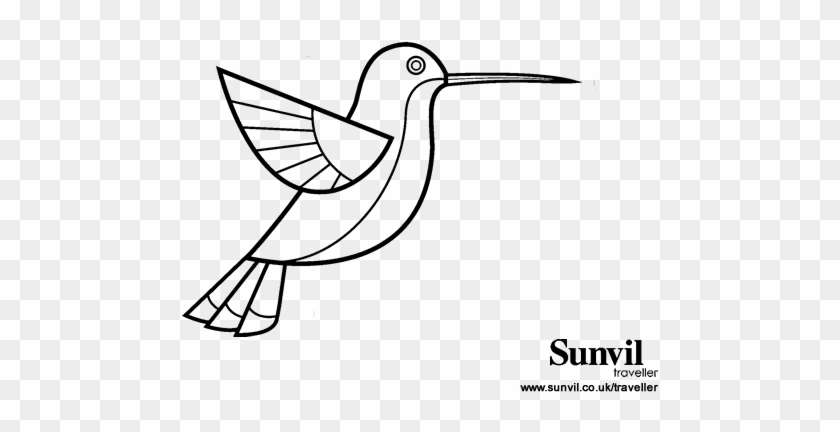 Dibujo De Colibrí Para Colorear - Drawing - Free Transparent PNG Clipart Images Download Dibujo De Colibrí Para Colorear - Drawing - Free Transparent PNG Clipart Images Download