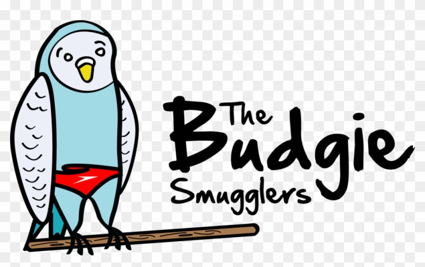The Budgie Smugglers - Bird In Budgie Smugglers #829359