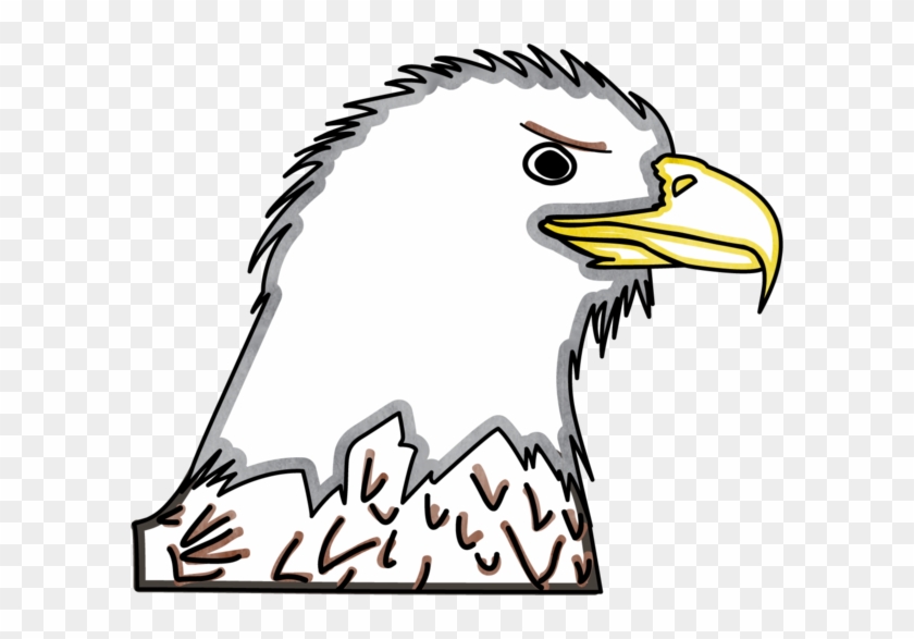 Bald Eagle Head - Bald Eagle Head #829358