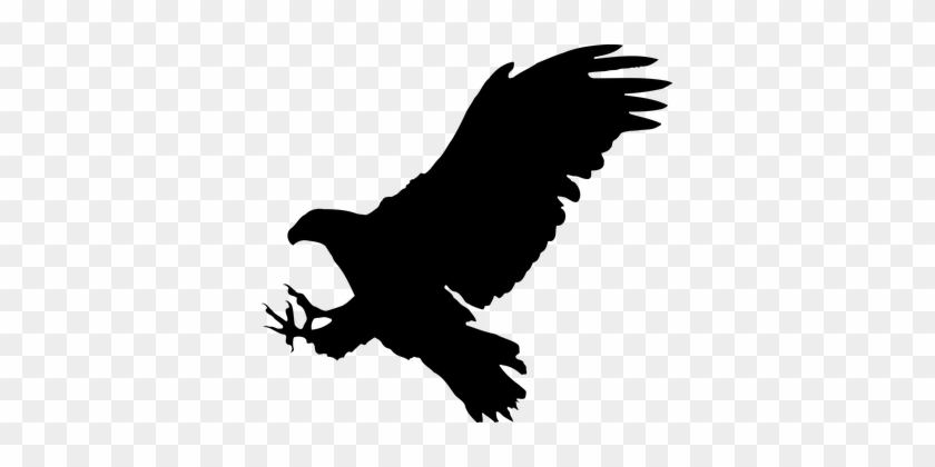 Animal Bird Eagle Favorites Silhouette Eag - Bird Of Prey Silhouette #829370