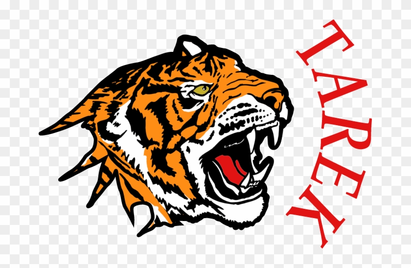 Graphic Design And Illustration For Website Use, Logo - Siberian Tiger #829384