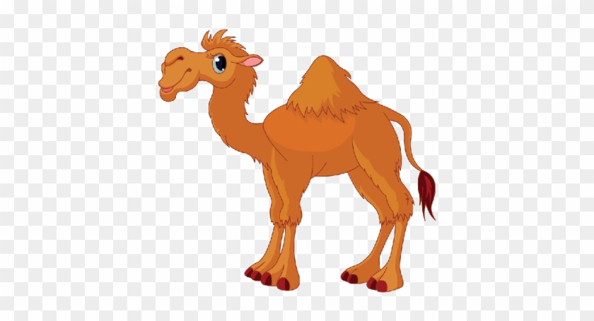 Funny Camel Pictures Clip Art - Camel Clipart #829394
