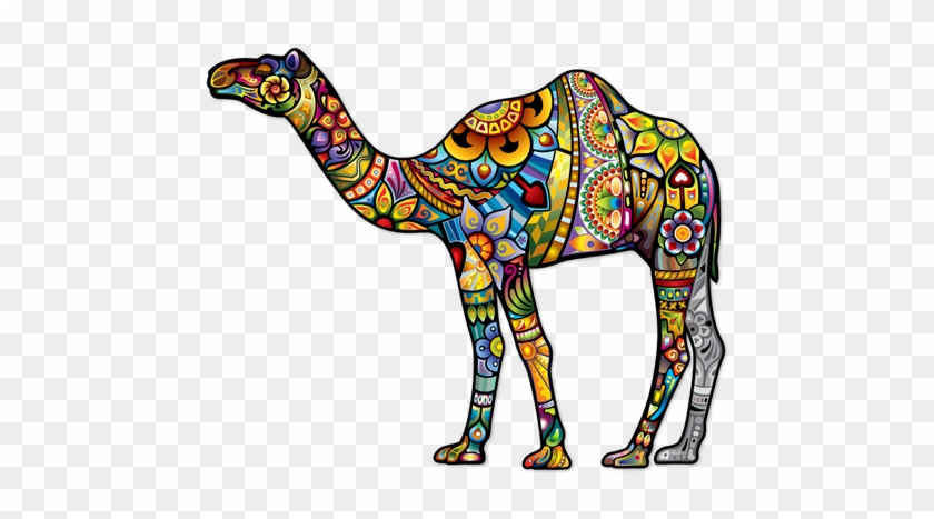 Indian Dromedary - Camel Colorful #829445