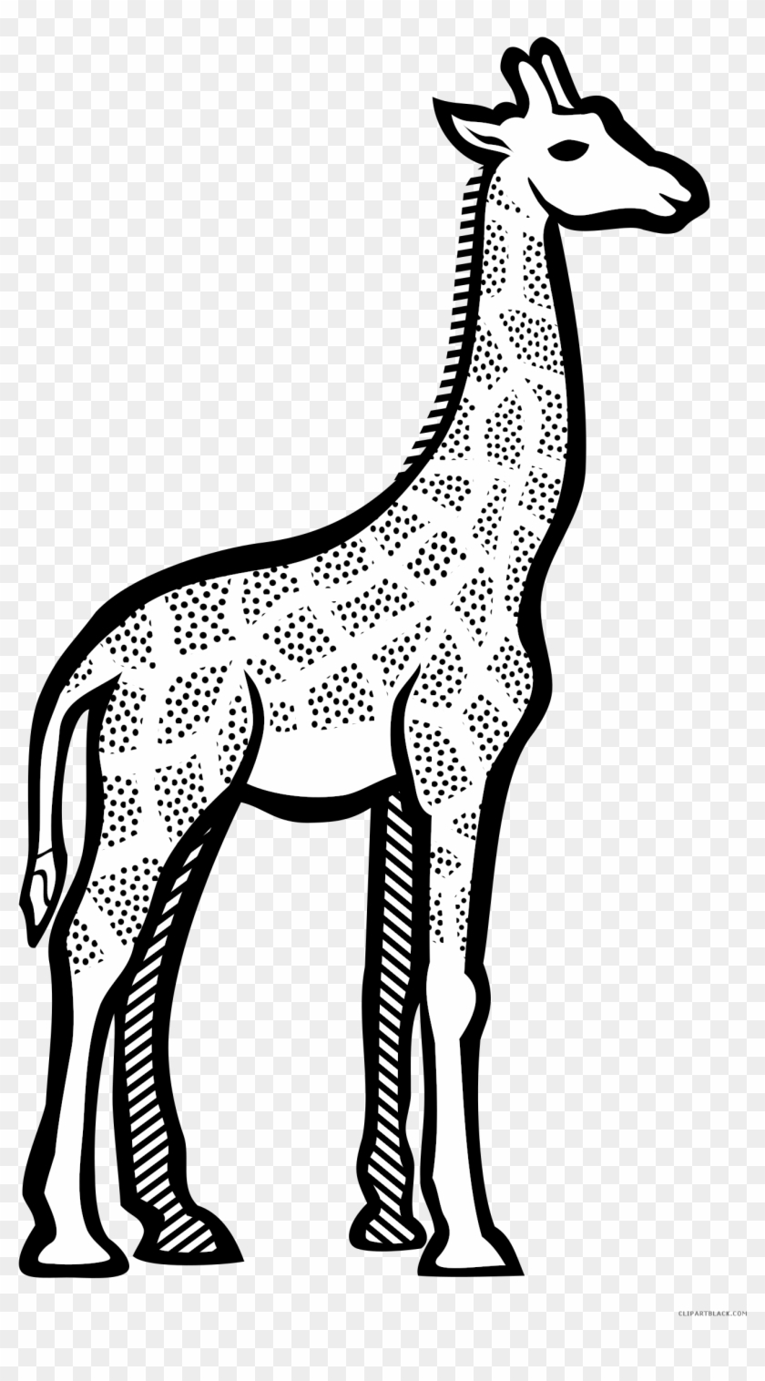 Black And White Giraffe Animal Free Black White Clipart - Giraffe Line Art #829452