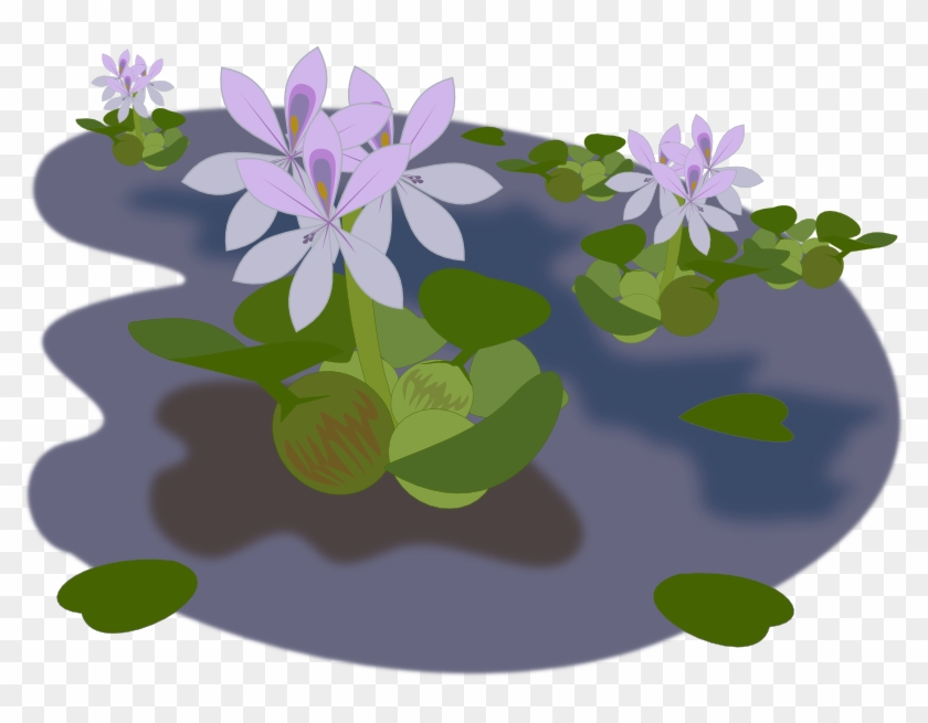 Pond Clipart Transparent - Free Water Plant Pngs #829507