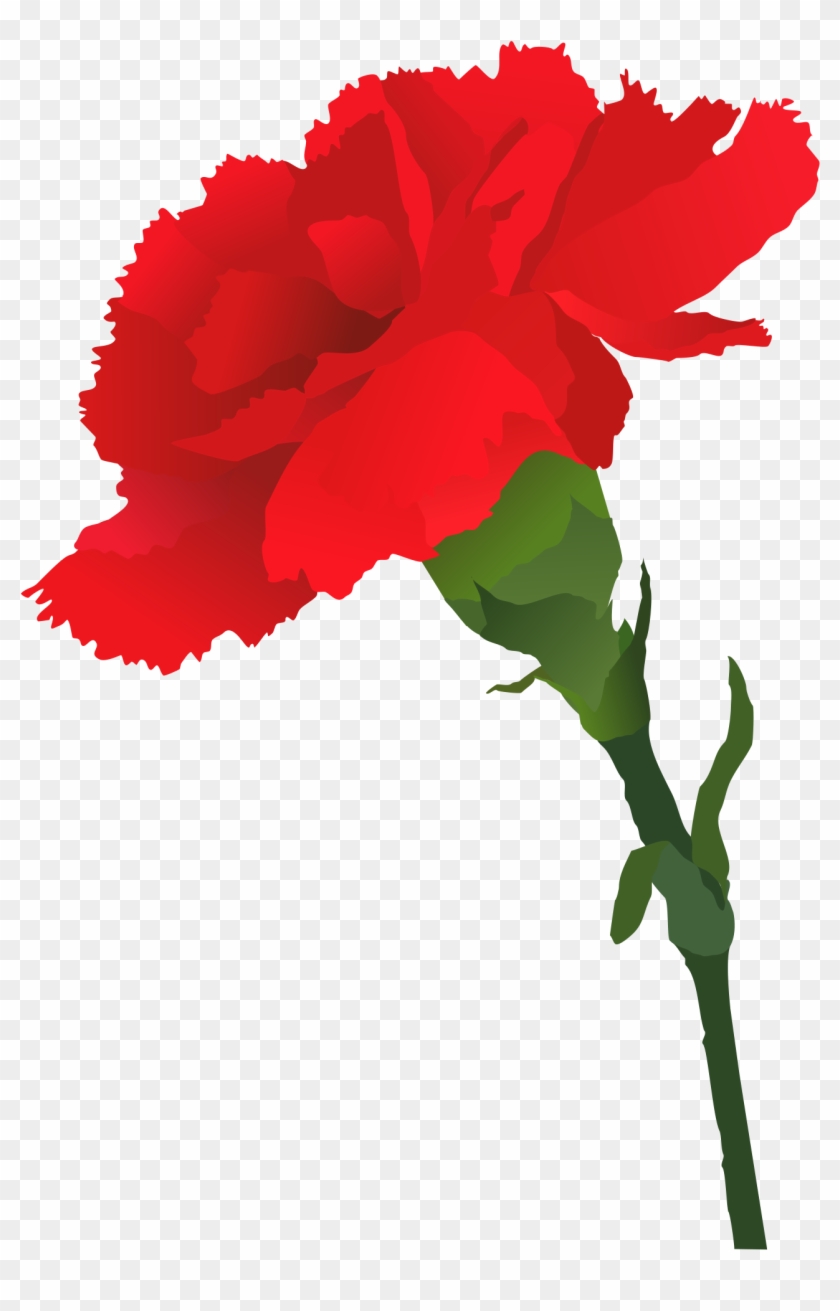 Rose Vector Clipart - Carnation #829522
