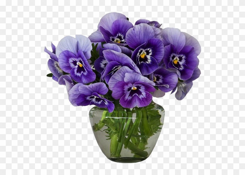 Flower Violet Vase Pansy Purple - Violets In A Vase #829848