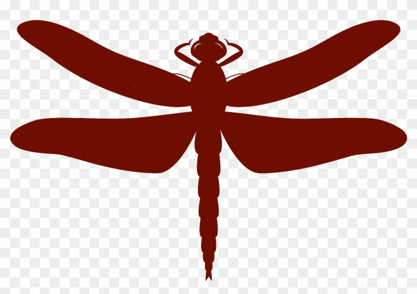 Dragonfly Clipart Scroll - Dragonfly #829882
