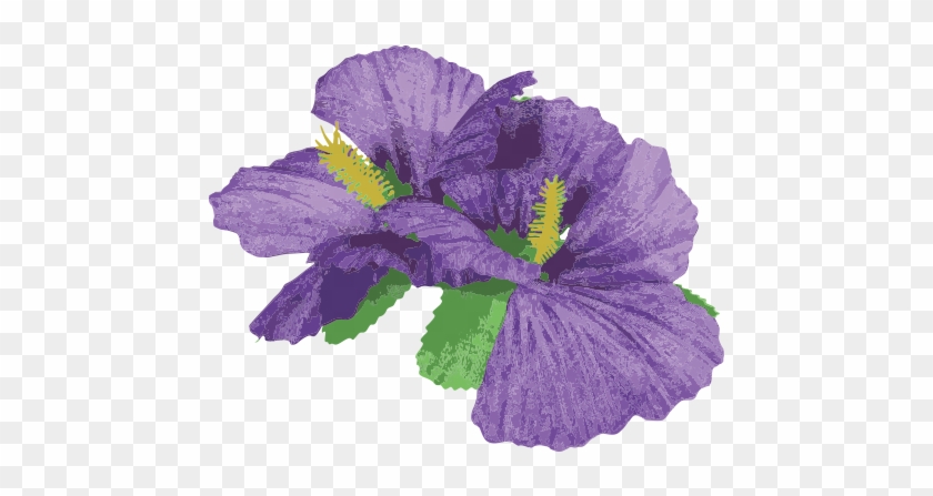 Contact - Sancto 2 Purple Hibiscus Flowers Hair Clips Accessory - Free Transparent PNG Clipart Images Download Contact - Sancto 2 Purple Hibiscus Flowers Hair Clips Accessory - Free Transparent PNG Clipart Images Download