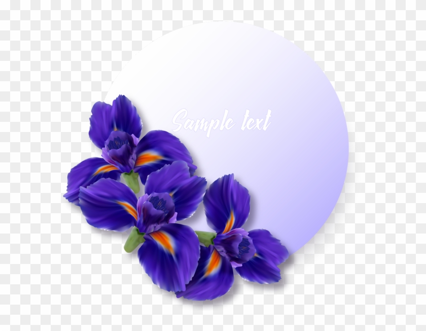 Label Or Sticker With Realistic Iris Flowers, Iris, - Psd #829984