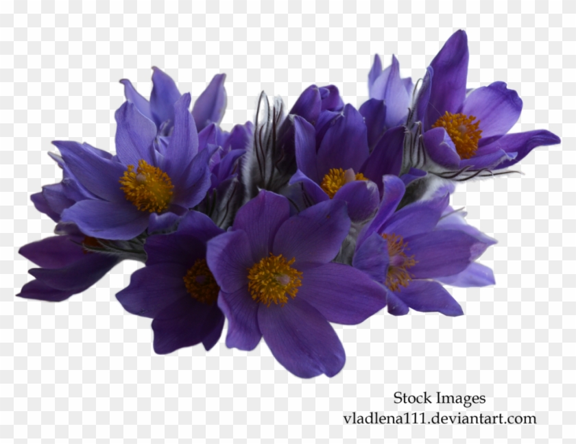 Spring Flowers Png 1 By Vladlena111 - Bouquet #829987