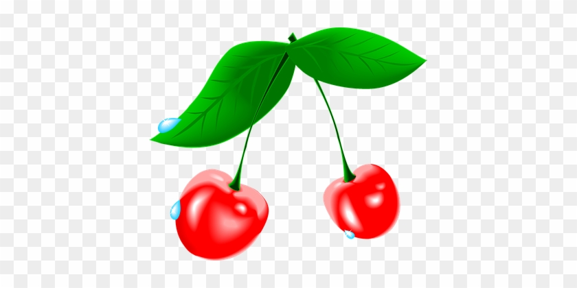 Cherry, Fruit, Waterdrops, Fresh - Cherry Cliparts #830000