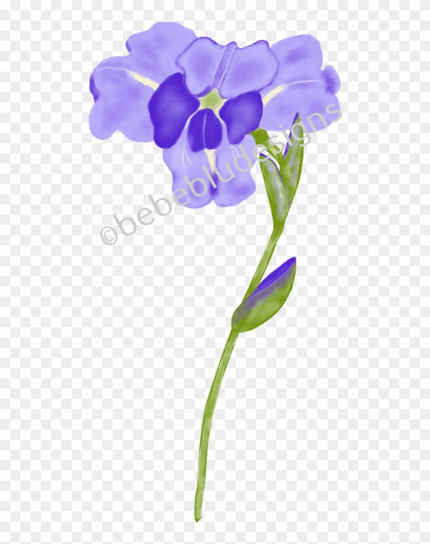 Purple Iris - Watercolor Painting #830071