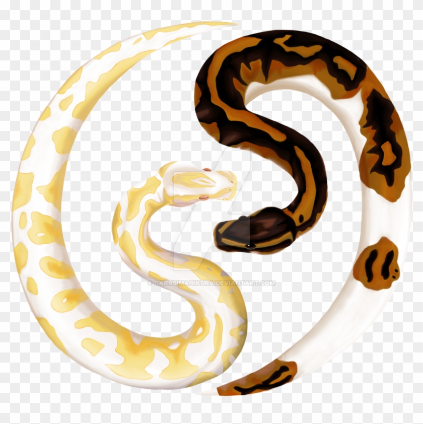 Ball Python Logo By Carusimahikura - Ball Python Snake Logo #830182