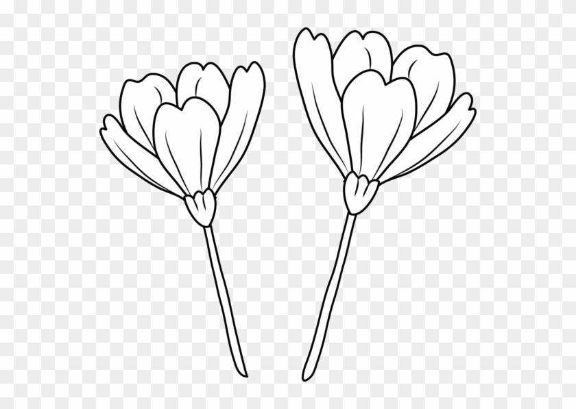 Poppy Flowers Coloring Page - Clip Art #830343