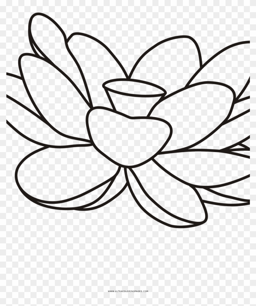 Lotus Coloring Page - Coloring Book #830357
