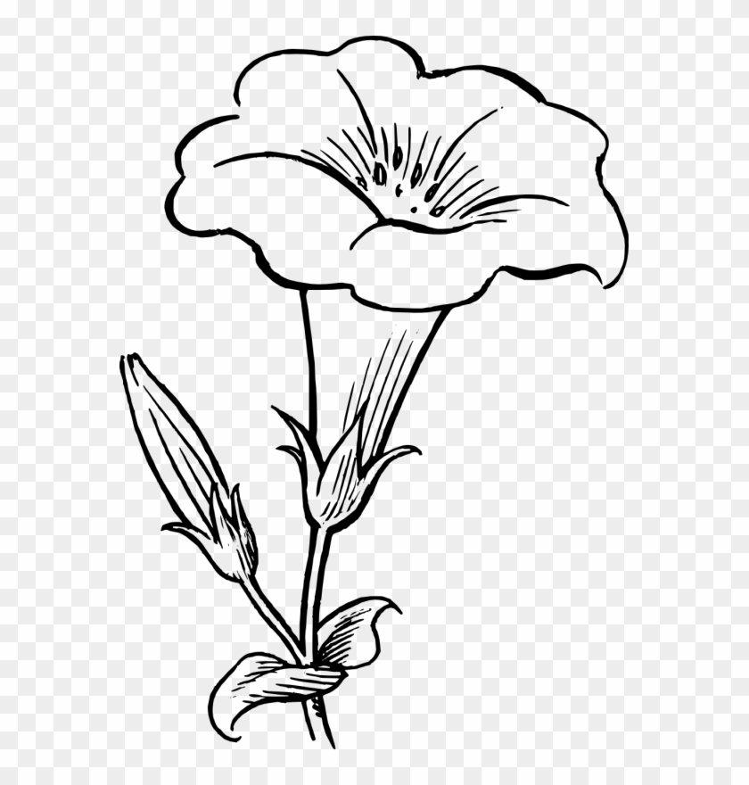 Flower Lineart Clip Art At Clker Com Vector Clip Art - Flower Black And White #830360