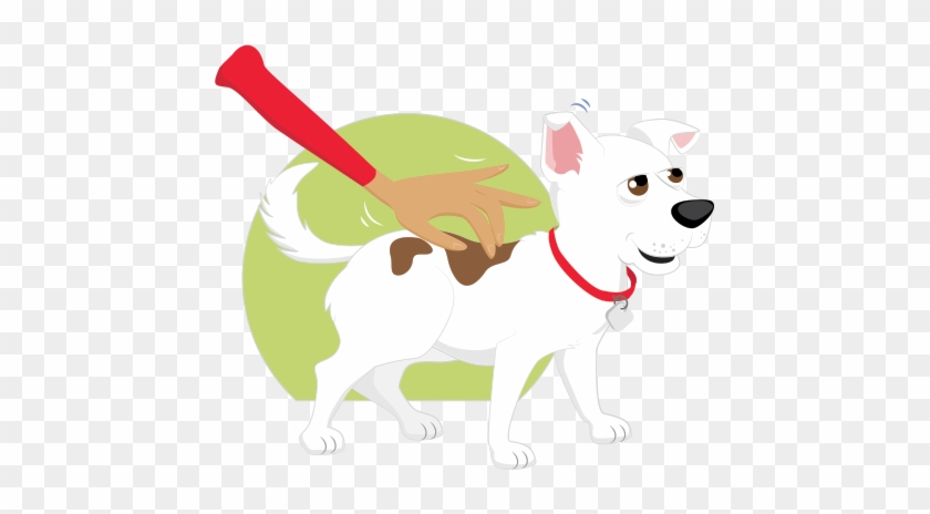 Begin Potty Training Asap And Train Him Often To Avoid - Companion Dog #830389