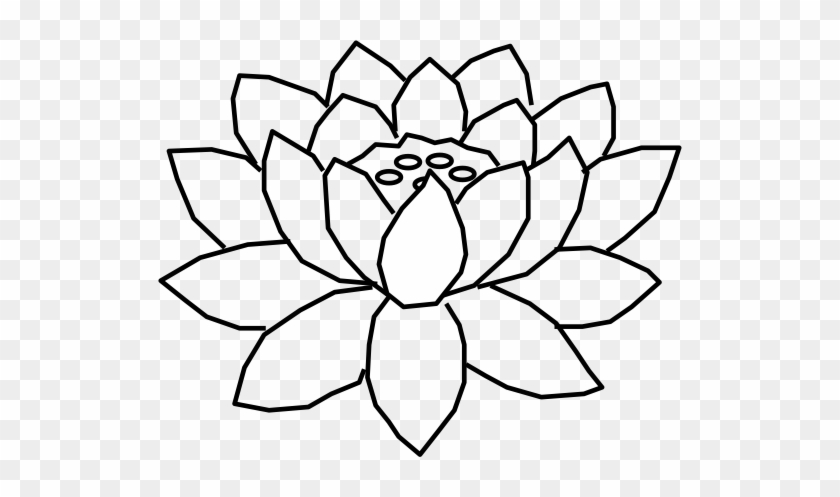 Inch By Inch, The Lotus Slowly Reaches The Surface - Sacred Lotus #830399