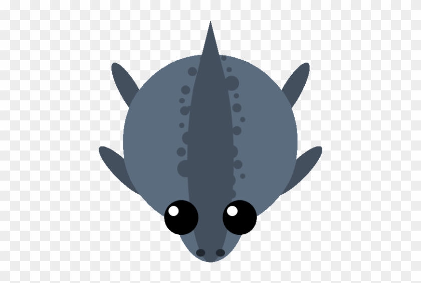 Loch Ness Monster - Cat #830630