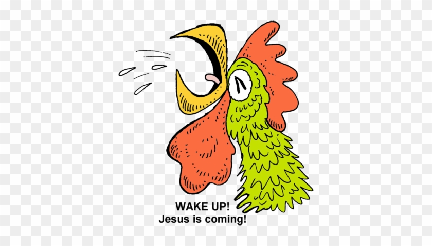 Rooster Crowing Clipart Of A On Pictures Vfe9u7 Clipart - Cartoon - Free Transparent PNG Clipart Images Download Rooster Crowing Clipart Of A On Pictures Vfe9u7 Clipart - Cartoon - Free Transparent PNG Clipart Images Download