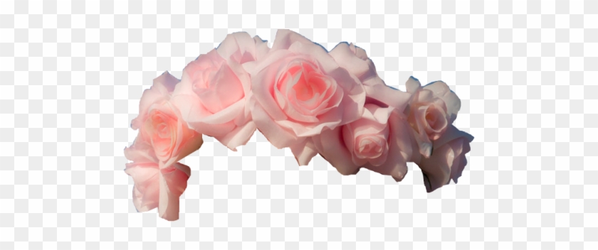 Flower Crown Transparent Background #830840