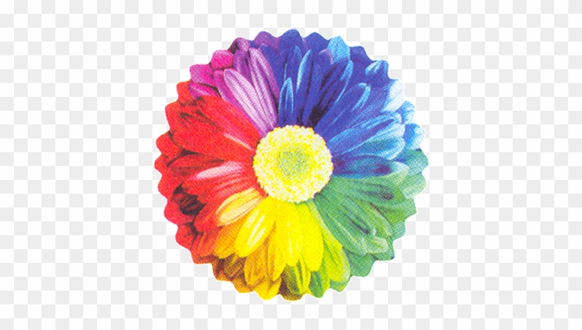 26" Rainbow Sunflower Balloon - Mylar Balloons Foil #830909