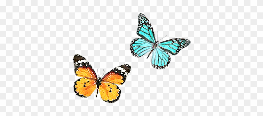 Watercolour Butterflies - Walther Mariposa Memo 13x18 200 Photos Color Assorted #830957