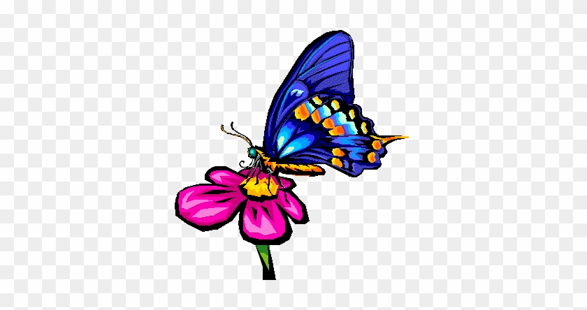 Pollination Clipart Butterfly - Butterfly On A Flower Art #831004