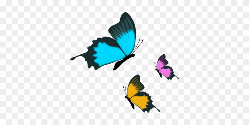 Butterfly Insect Nature Butterfly Butterfl - Farfalla Clip Art #831022